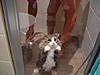 katze.jpg (23.4 KiB) 5510 mal betrachtet katze.jpg