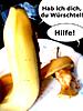 bild3.jpg