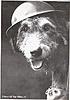wardog.jpg (16.75 KiB) 1941 mal betrachtet wardog.jpg