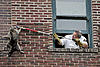 brainblog0826.jpg (65.75 KiB) 4610 mal betrachtet brainblog0826.jpg