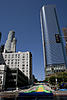 IMG_3681k.jpg