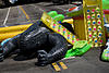 IMG_3696k.jpg