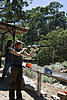 1IMG_3876k.jpg