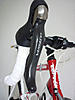 cervelo2.jpg