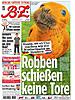 robben.jpg