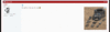 brett_krieg_adsense.gif