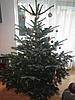 Christbaum_unvollendet.jpg