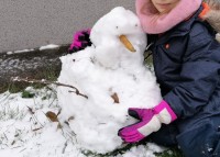 schneeman2.jpg