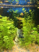 IMG_4091.JPG (273.82 KiB) 8403 mal betrachtet IMG_4091.JPG