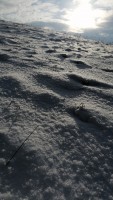 schneehang.jpg