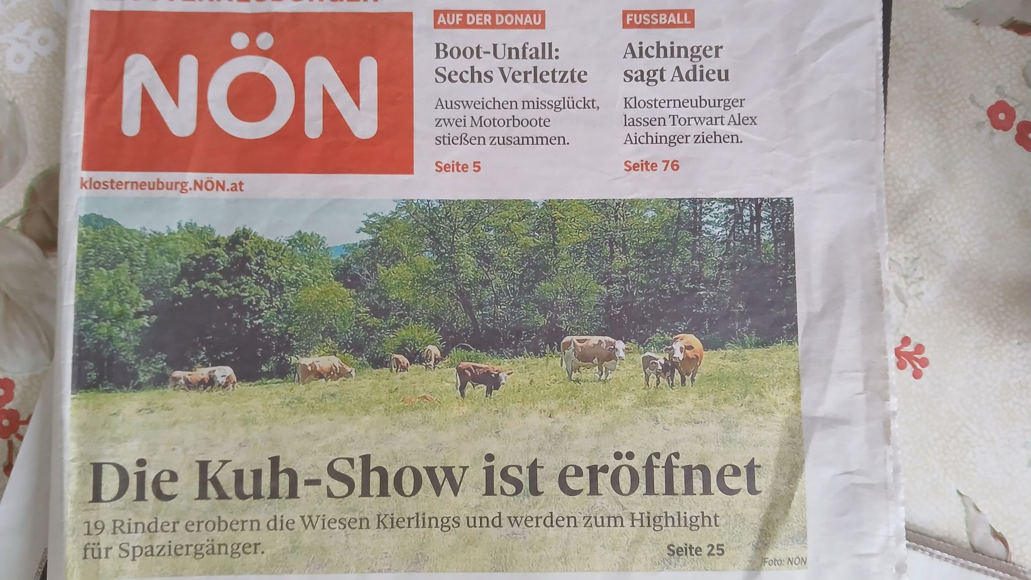 Kuhshow_Kierling.jpg
